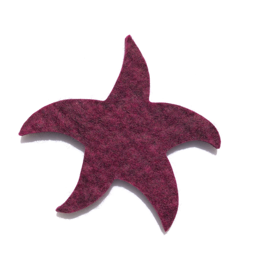 Felted Wool Hot Pads, Starfish